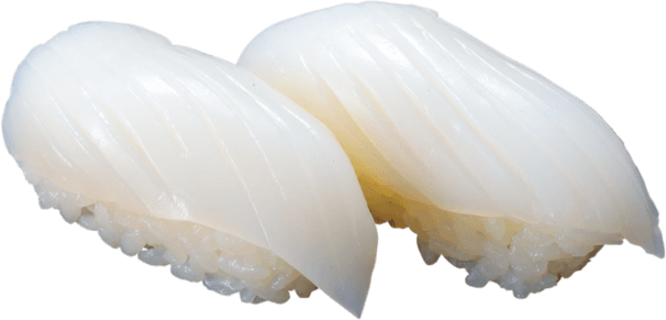 甲イカ