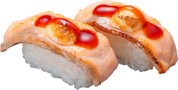 マヨダレオーロラサーモン